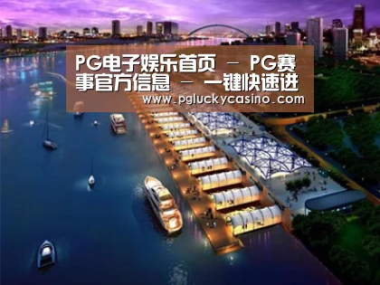 案例展示八