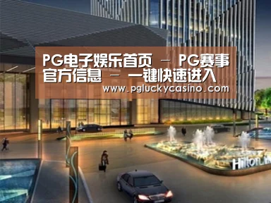 案例展示二