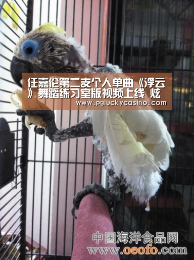 任嘉伦第二支个人单曲《浮云》舞蹈练习室版视频上线 炫酷舞步高能来袭-PG首页(图3) PG速达