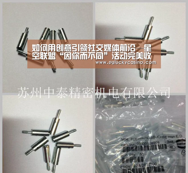 如何用创意引领社交媒体前沿—星空联盟“因你而不同”活动完美收官“PG速达”(图4) PG首页