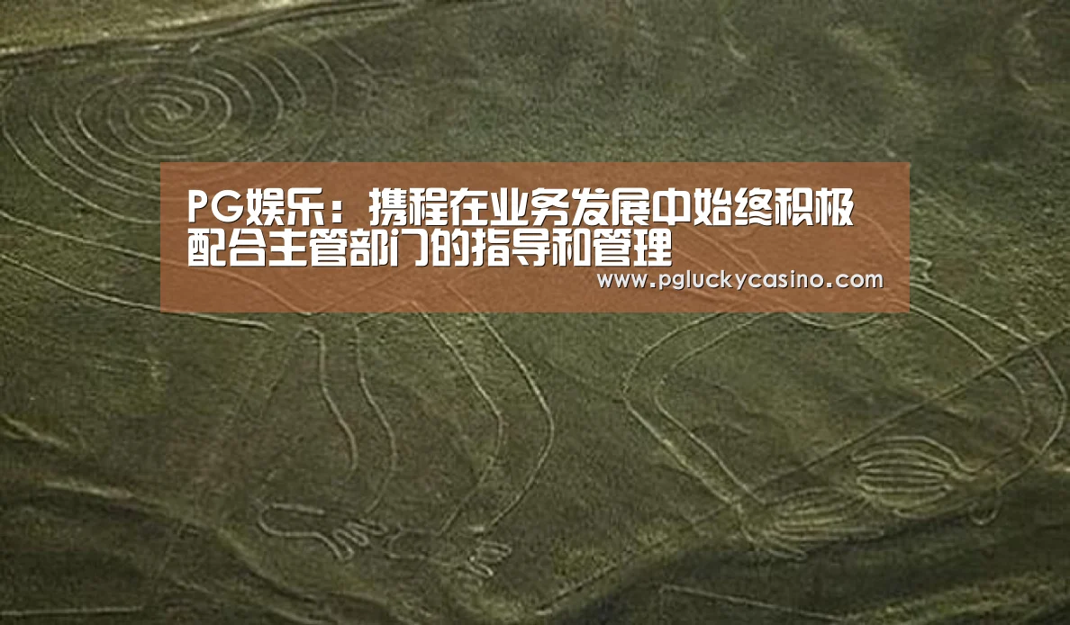 PG娱乐:携程在业务发展中始终积极配合主管部门的指导和管理(图3) PG娱乐