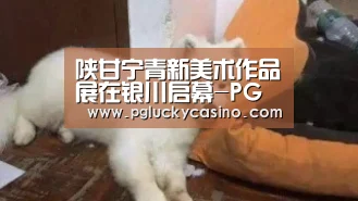 陕甘宁青新美术作品展在银川启幕-PG赛事(图2) PG赛事