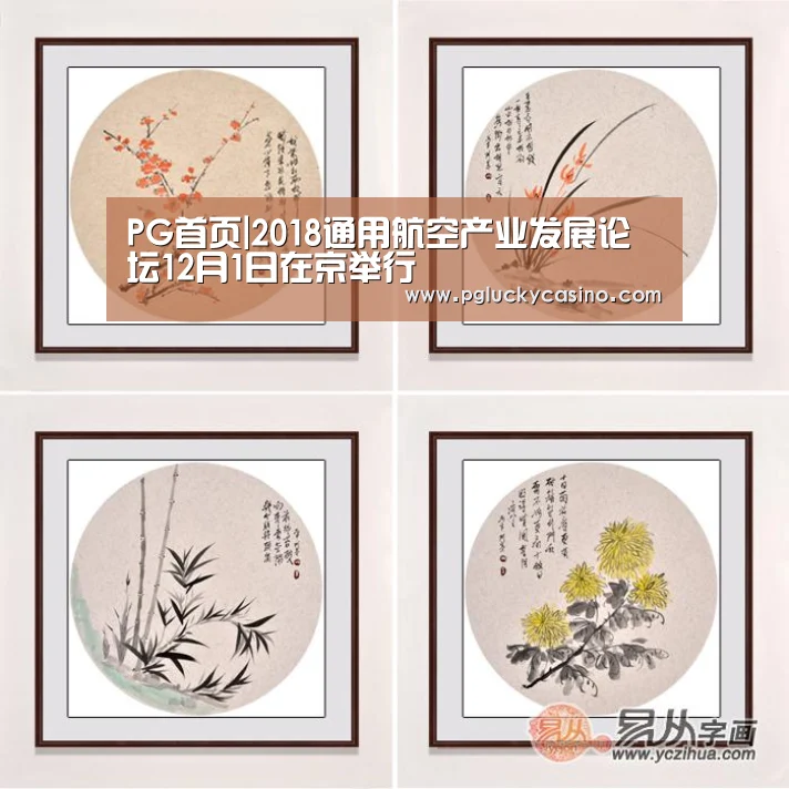 PG首页|2018通用航空产业发展论坛12月1日在京举行(图1) PG速达
