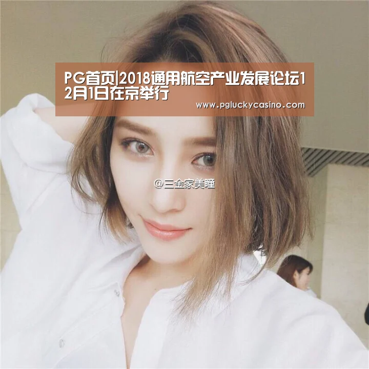 PG首页|2018通用航空产业发展论坛12月1日在京举行(图2) PG首页